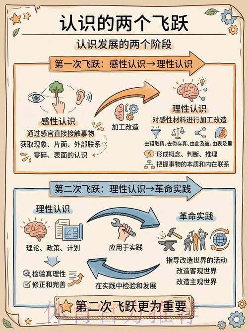 深入解析：世界杯数据预测的奥秘与实践